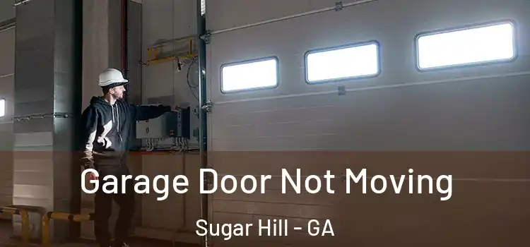  Garage Door Not Moving Sugar Hill - GA